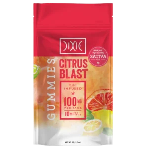 Citrus Blast Gummies 100mg 10 Pack