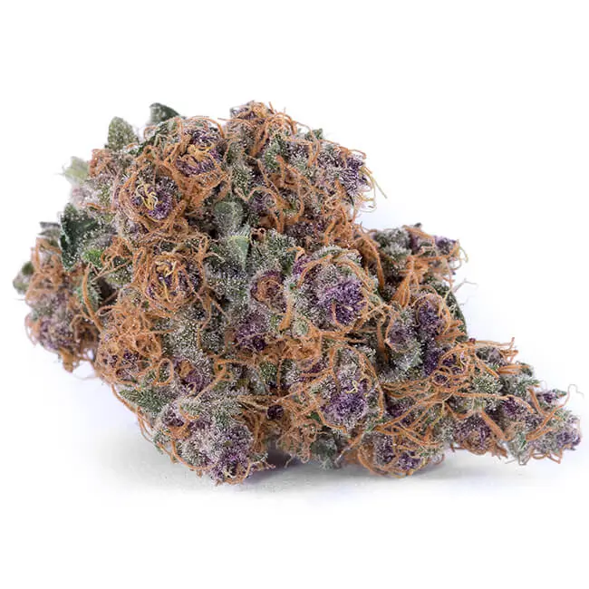 blue-dream